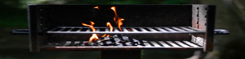 Efterligning scaring Gade Rengøring af grill - Hovedrengøring af grill og klargøring